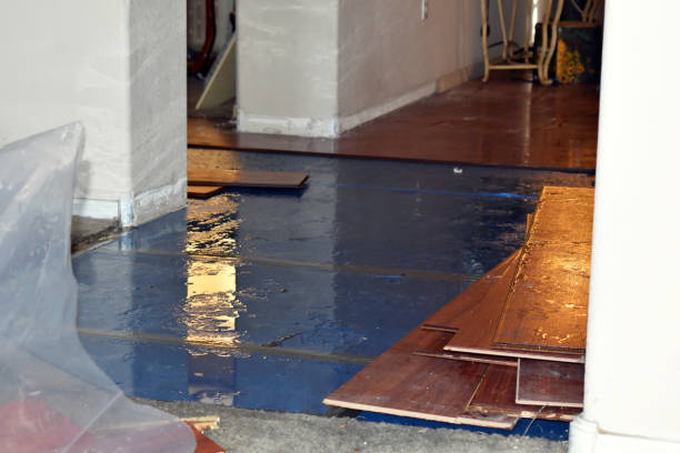 Professional Water Damage Repair technician working in Braddock, PA
